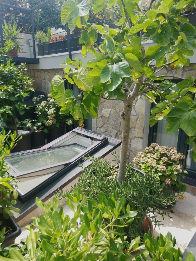 Artspace Location-Opatija-3 Bedroom House With Rooftop Garden By Beach Kültér fotó