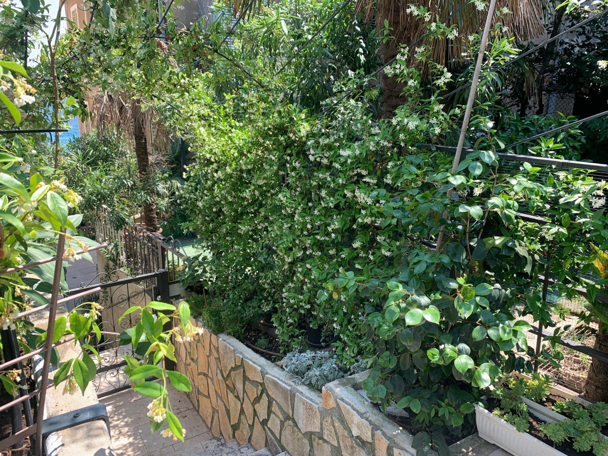 Artspace Location-Opatija-3 Bedroom House With Rooftop Garden By Beach Kültér fotó